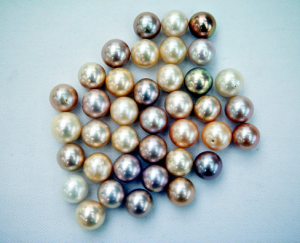 Edison Pearls